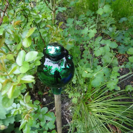 Zum Breitling In 아파트 Stove