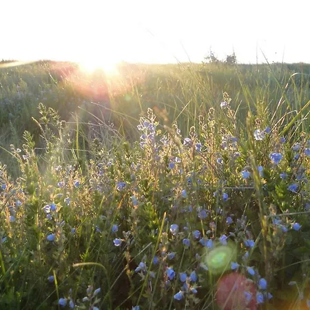 Zum Breitling In 아파트 *