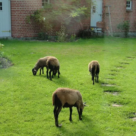 Zum Breitling In Stove