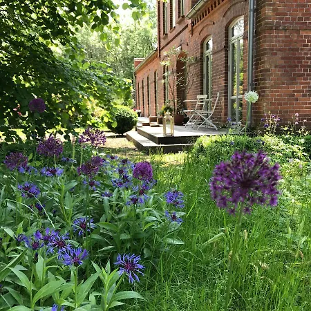 Zum Breitling In 아파트 Stove