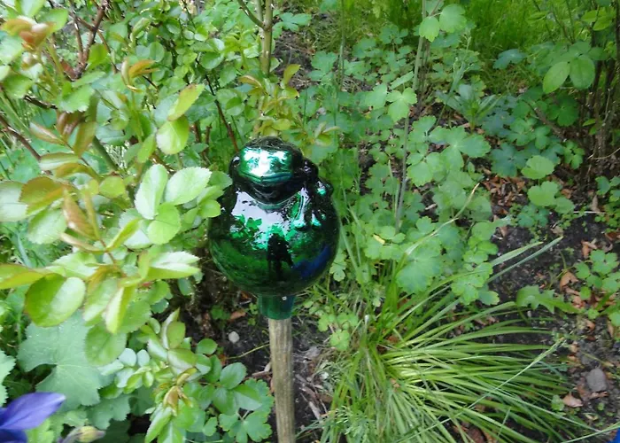 Zum Breitling In Apartament Stove