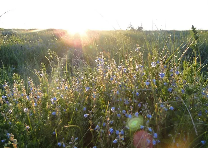 Zum Breitling In Apartament *