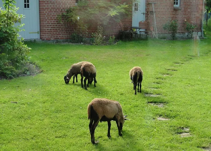 Zum Breitling In Stove