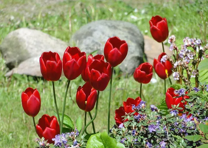 Zum Breitling In Apartament *